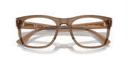 Clear Lenses, Polished Transparent Light Brown Frame