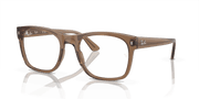 Clear Lenses, Polished Transparent Light Brown Frame