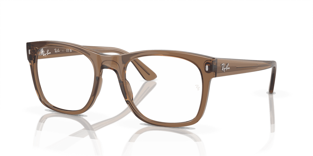 [Clear Lenses, Polished Transparent Light Brown Frame]