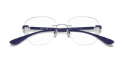 Clear Lenses, Polished Silver Frame