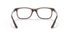 [Clear Lenses, Matte Havana Frame]