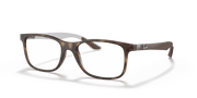 Clear Lenses, Matte Havana Frame