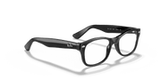 Clear Lenses, Polished Black Frame