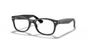 Clear Lenses, Polished Black Frame