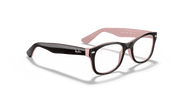 Clear Lenses, Polished Havana Frame