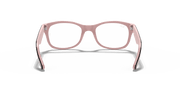 Clear Lenses, Polished Havana Frame