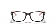 Clear Lenses, Polished Havana Frame