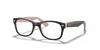 [Clear Lenses, Polished Havana Frame]