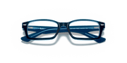 Clear Lenses, Polished Blue Frame