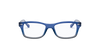 [Clear Lenses, Polished Blue On Grey Frame]