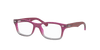 [Clear Lenses, Polished Fuxia On Grey Frame]