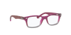 [Clear Lenses, Polished Fuxia On Grey Frame]