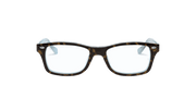 Clear Lenses, Polished Havana Frame