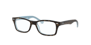 Clear Lenses, Polished Havana Frame