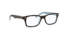 [Clear Lenses, Polished Havana Frame]