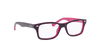 [Clear Lenses, Polished Violet Frame]