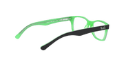 Clear Lenses, Polished Black On Green Frame