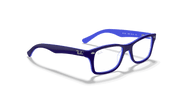 Clear Lenses, Polished Blue Frame