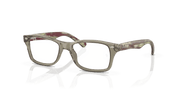 Clear Lenses, Polished Transparent Green Frame