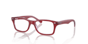 Clear Lenses, Polished Top Red & Orange & Light Purple Frame