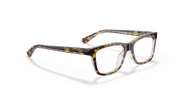 Clear Lenses, Polished Dark Havana Frame