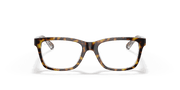 Clear Lenses, Polished Dark Havana Frame