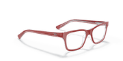 Clear Lenses, Polished Red On Transparent Frame