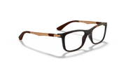 Clear Lenses, Polished Havana Frame