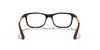 [Clear Lenses, Polished Havana Frame]