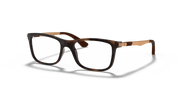 Clear Lenses, Polished Havana Frame