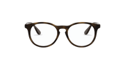 Clear Lenses, Matte Havana Frame