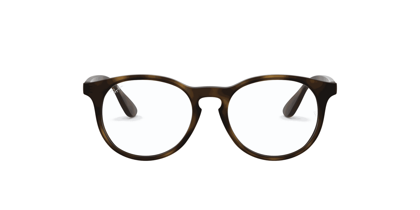 [Clear Lenses, Matte Havana Frame]