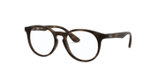 Clear Lenses, Matte Havana Frame