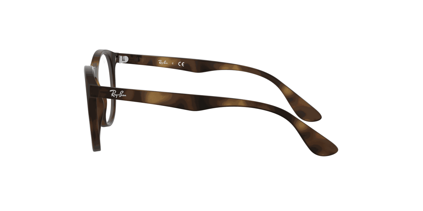 [Clear Lenses, Matte Havana Frame]