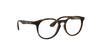 [Clear Lenses, Matte Havana Frame]