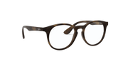 Clear Lenses, Matte Havana Frame