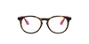 [Clear Lenses, Polished Havana Frame]