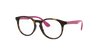 [Clear Lenses, Polished Havana Frame]