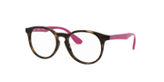 Clear Lenses, Polished Havana Frame