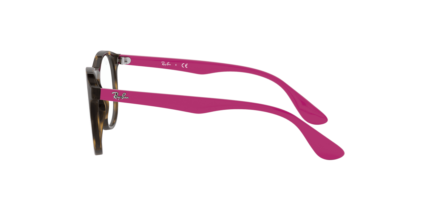 [Clear Lenses, Polished Havana Frame]