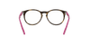 [Clear Lenses, Polished Havana Frame]