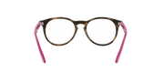 Clear Lenses, Polished Havana Frame