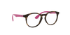 [Clear Lenses, Polished Havana Frame]