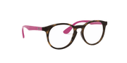 Clear Lenses, Polished Havana Frame