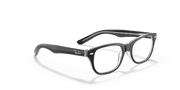 Clear Lenses, Polished Black On Transparent Frame