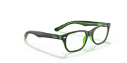 Clear Lenses, Polished Brown On Green Fluo Frame