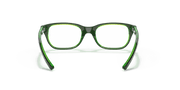 Clear Lenses, Polished Brown On Green Fluo Frame