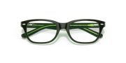 Clear Lenses, Polished Brown On Green Fluo Frame