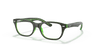 [Clear Lenses, Polished Brown On Green Fluo Frame]