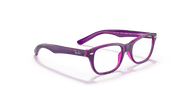 Clear Lenses, Polished Violet On Fuxia Fluo Frame